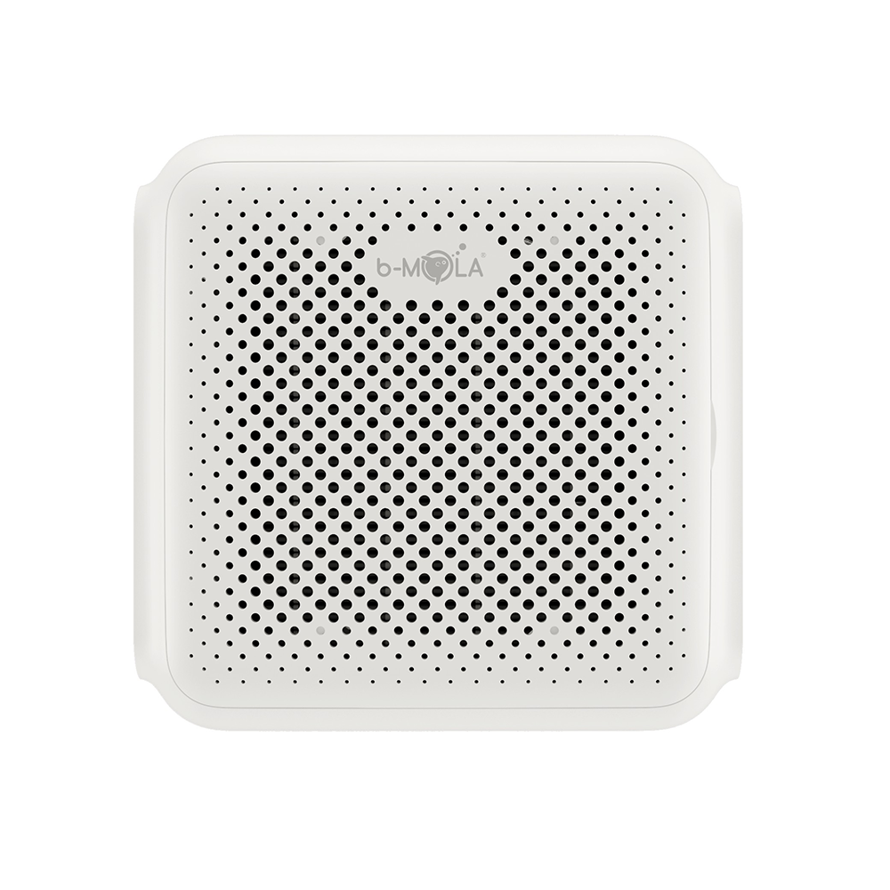 BM10 Portable Air Purifier