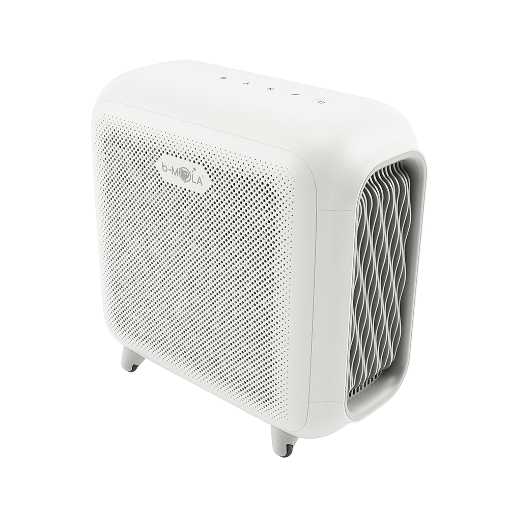 B mola air purifier deals